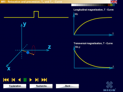 Physics of Magnetic Resonance Imaging (MRI) screenshot 8