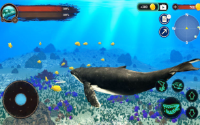 The Humpback Whales screenshot 11