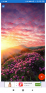 Sunrise Wallpaper: HD images, Free Pics download screenshot 6