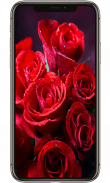 Red Rose Flower Lock Screen, Red Rose wallpapers screenshot 4