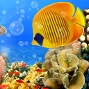 Aquarium Live Wallpaper