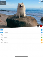 DogDays | Puppies & Dogs Calendar Manager & Games screenshot 4