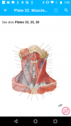 Anatomy Atlas, USMLE, Clinical screenshot 0