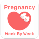 Pregnancy Week By Week Guide