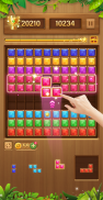 Block - Block Puzzle Classic screenshot 7