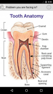 Dental Desk screenshot 0