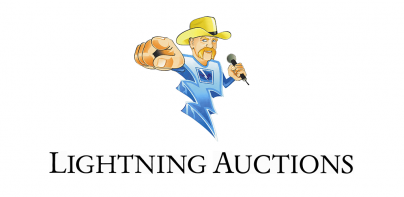 Lightning Auctions