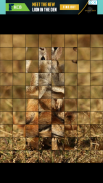 Animal Photo Puzzle. screenshot 2