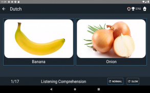 Dutch Language Tests screenshot 7