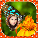 butterfly photo frame effect