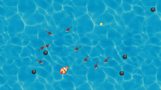 Fish Tank Chase screenshot 0