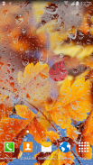 Autumn Live Wallpaper HD screenshot 2