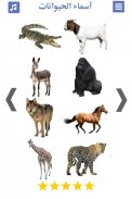 تعليم اصوات الحيوانات و صور و اسماء الحيوانات screenshot 5