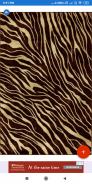 Zebra Print Wallpapers: HD images Free download screenshot 4