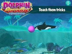 Dolphin Paradise: Wild Friends screenshot 9