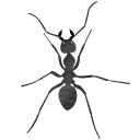 The Ant Colony Icon