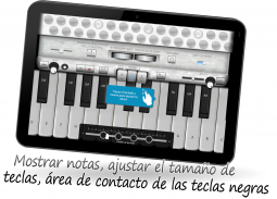 Acordeón Piano Teclas Aprender screenshot 15