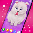 Cute Puppy Live Wallpaper Icon