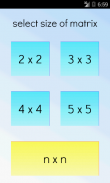 Matrix Determinant Calculator screenshot 2