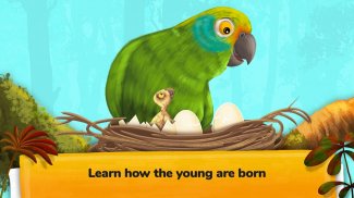 The Animals: Animal Kids Games screenshot 6