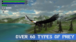 Eagle Hunting Journey screenshot 4