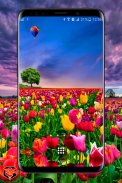 Flower Fields Live Wallpaper screenshot 1