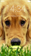 Golden Retriever Lock Screen screenshot 5