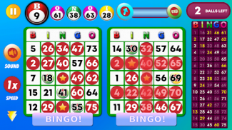 Bingo Classic Game - Offline screenshot 3
