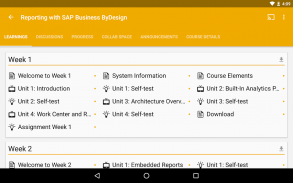 openSAP: Free Enterprise MOOCs screenshot 3