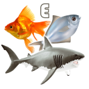 Fish Types | Goldfish Saltwate Icon