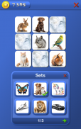 Find2 Memory, a popular free solitaire puzzle game screenshot 11