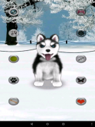 Talking Siberian Husky screenshot 0