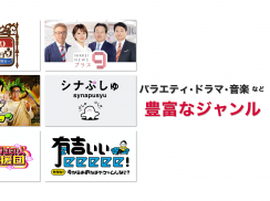 ネットもテレ東 テレビ東京の動画アプリ テレビ番組をスマホで screenshot 8