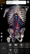 Anatomia - Atlas 3D screenshot 6