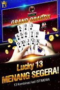 Lucky 13: 13 Card Poker Puzzle screenshot 0