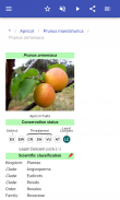 Frutta screenshot 12