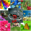 Insects wallpapers Icon