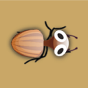 Catch Bugs-as many as possible Icon