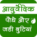 Ayurvedic Plants & Herbs Infor