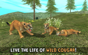 Wild Cougar Sim 3D screenshot 0