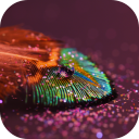 Feather Live Wallpaper