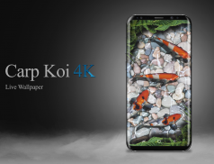 Carp Koi fish live wallpaper 4K resolution free screenshot 3