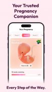 WeMoms Pregnancy Baby Tracker screenshot 7