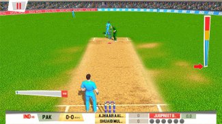 Real World Cricket Tournament screenshot 1