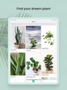 PlantIn: Plant Identifier screenshot 2