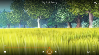 VLC for Android screenshot 26