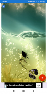 Mermaid Wallpaper: HD images, Free Pics download screenshot 4