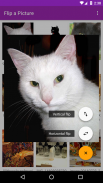 Flip a Picture (mirror image) screenshot 2