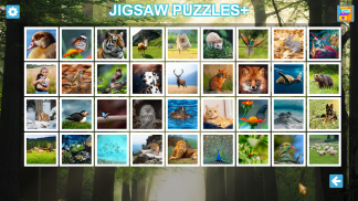 Jigsaw Puzzles+ : HD Collections screenshot 6