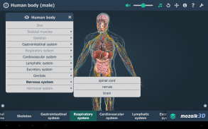 Menselijk lichaam 3D screenshot 10